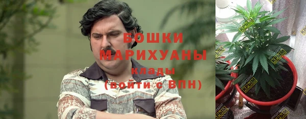 кокаин Богданович