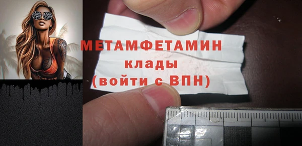 гидра Богородицк