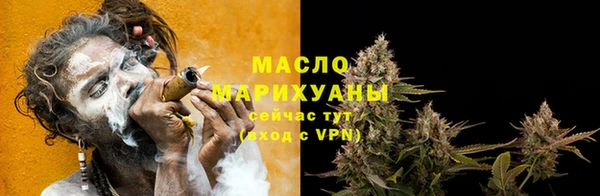 гидра Богородицк