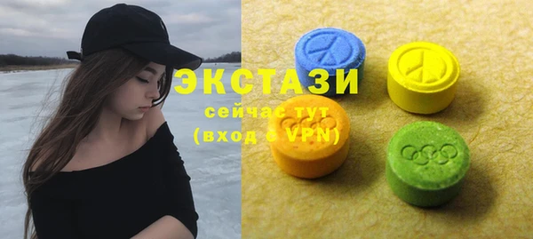 гидра Богородицк