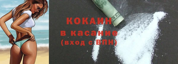 гидра Богородицк