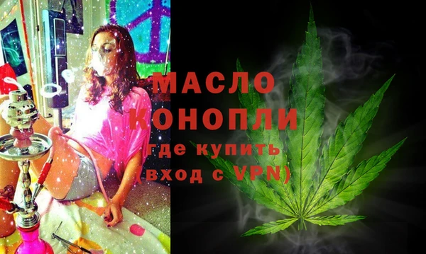 гидра Богородицк