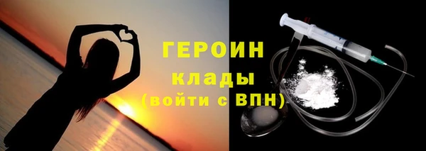 гидра Богородицк