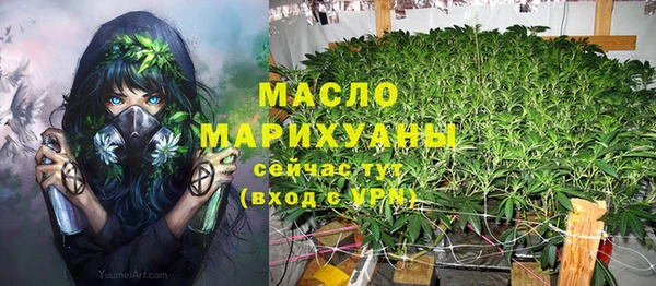 гидра Богородицк