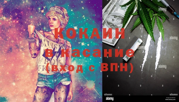 гидра Богородицк