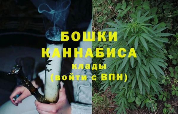 кокаин Богданович