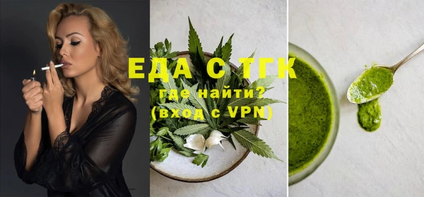 гидра Богородицк