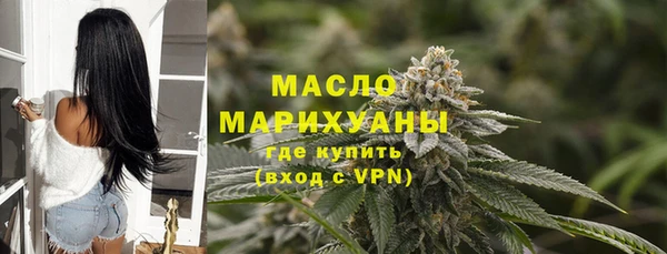 гидра Богородицк
